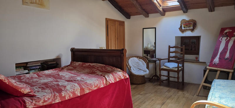 Viager - Maison ancienne - 248 m² - 11 pièces