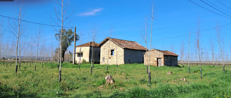 Maison - 35 m² - 2 pièces