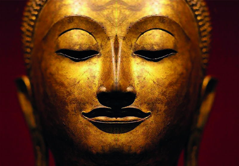 Occitanie Bien-être