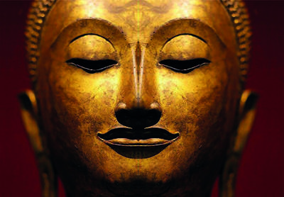 Occitanie Bien-être