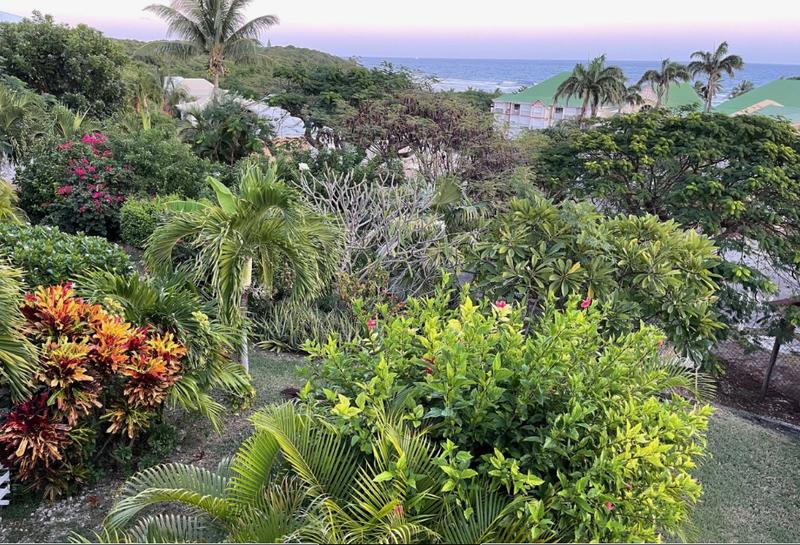 Appartement - 50 m² - 3 pièces