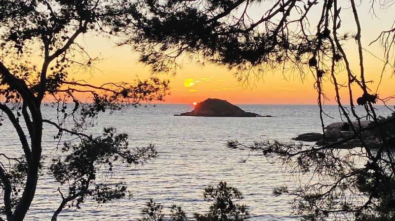 Appartement - 28 m² - 1 pièce