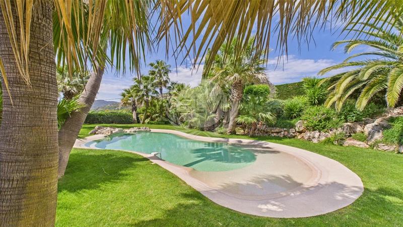 Viager - Maison - 307 m² - 6 pièces