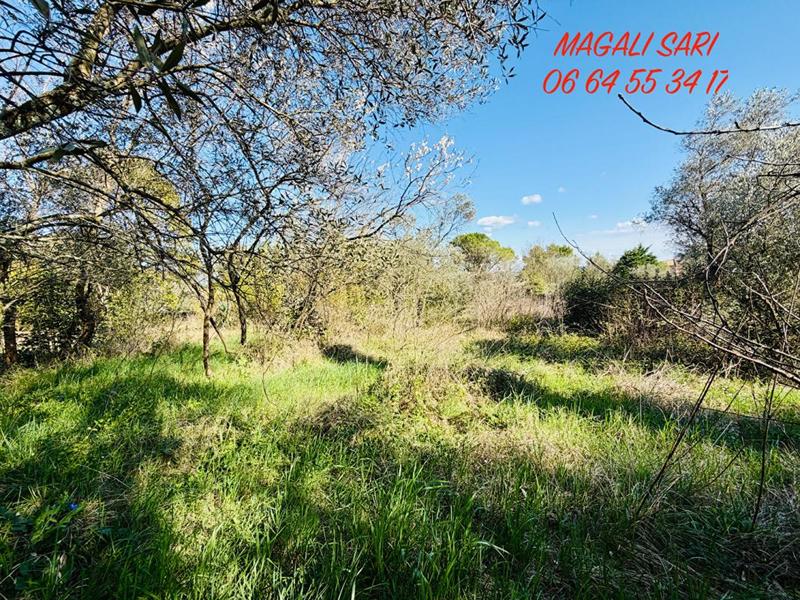 Maison - 174 m² - 6 pièces