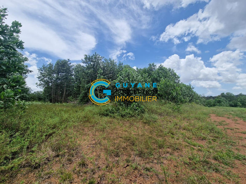 Terrain agricole - 1 667 m²