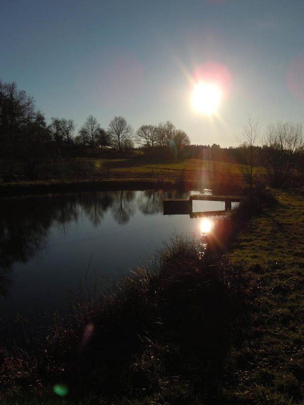 Sortie nature : les mysteres de la nuit
