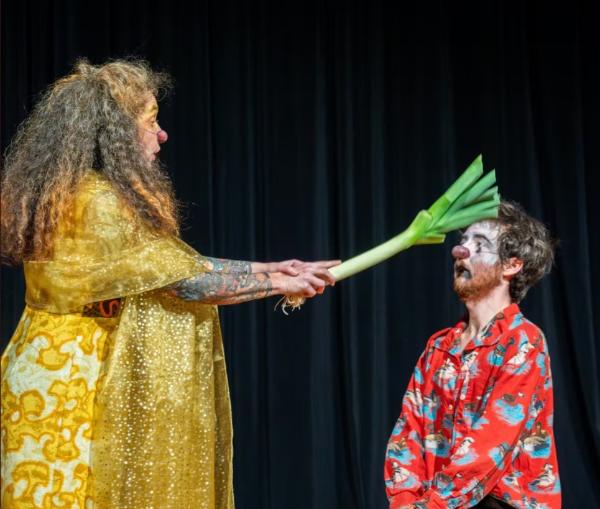 Stage : Découverte du clown