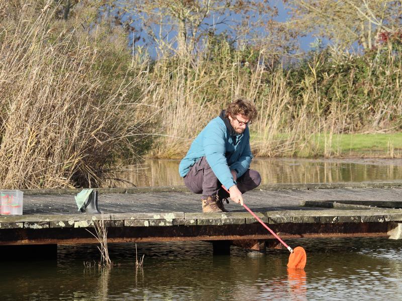 A la découverte de la mare à Terres d'Oiseaux