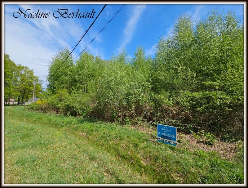 Terrain constructible - 3 921 m²