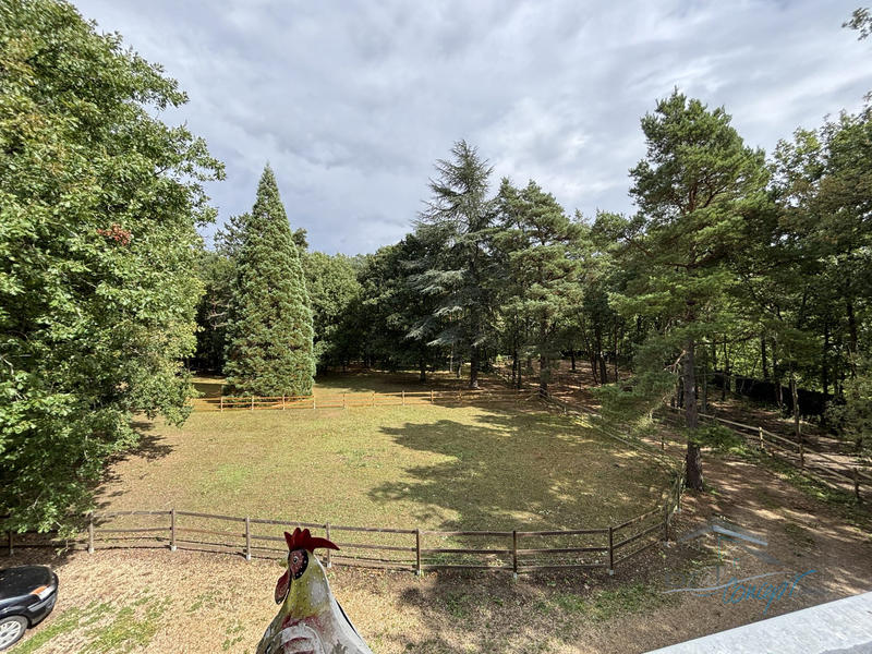 Maison ancienne - 370 m² - 12 pièces