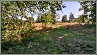 Terrain constructible - 6 187 m²