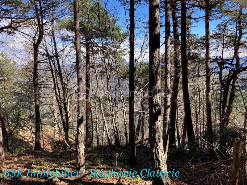 Terrain agricole - 10 100 m²