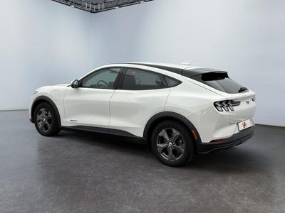 Ford Mustang Mach-E Standard Range 76 kWh 269 ch