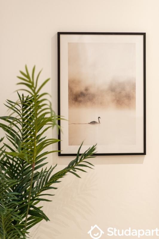 Appartement - 30 m² - 1 pièce