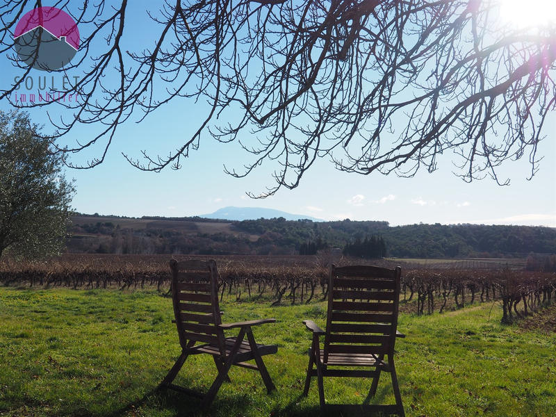 Mas - 575 m² - 15 pièces