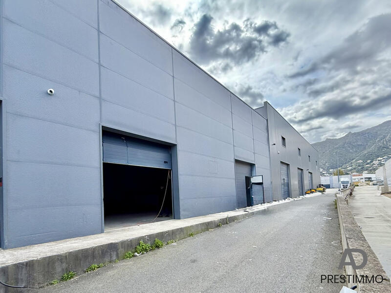 Local d'activités - 256 m² - 1 pièce