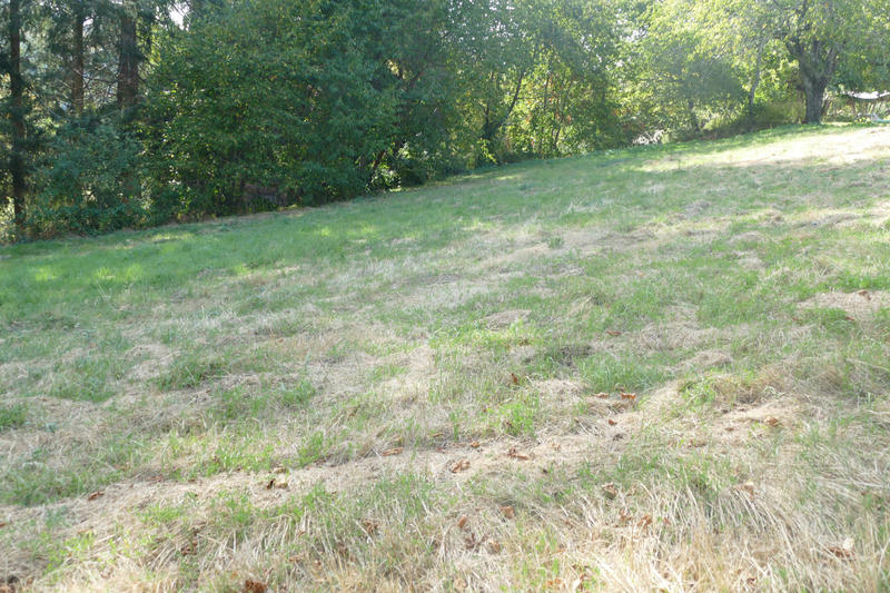 Terrain de loisirs - 1 410 m²