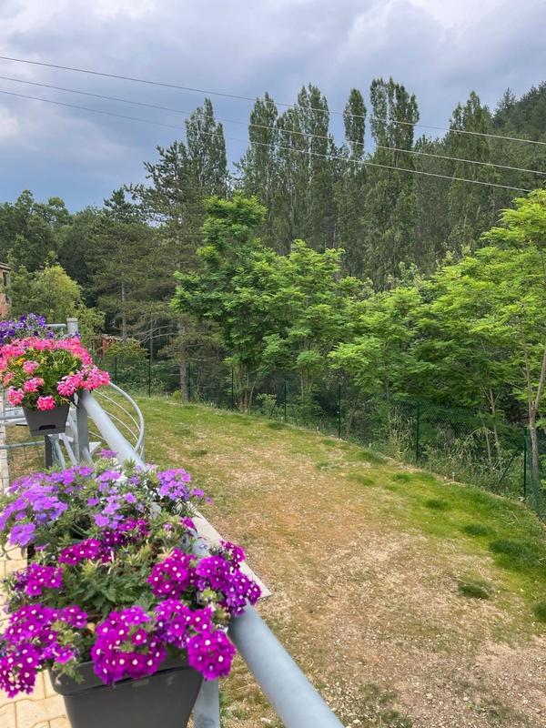 Viager - Maison - 205 m² - 7 pièces