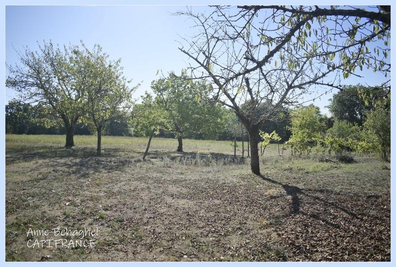 Maison de campagne - 170 m² - 7 pièces