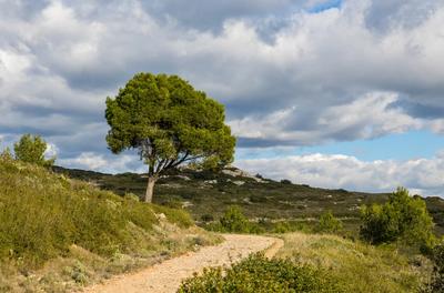 Balade Pour Tous Autour de Soumont