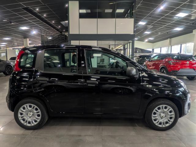 Fiat Panda 1.0 70 ch Hybrid Bsg s/S City