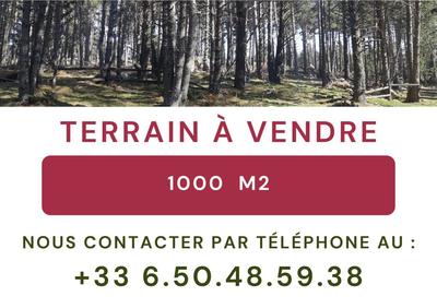 Terrain constructible - 1 000 m²