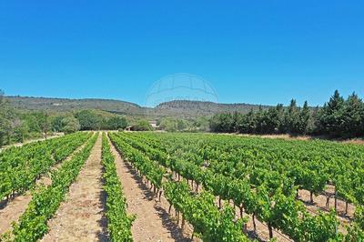 Maison - 494 m² - 12 pièces