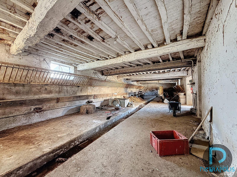 Maison ancienne - 365 m² - 5 pièces