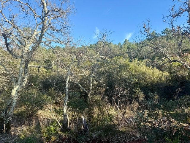 Terrain de loisirs - 5 270 m²