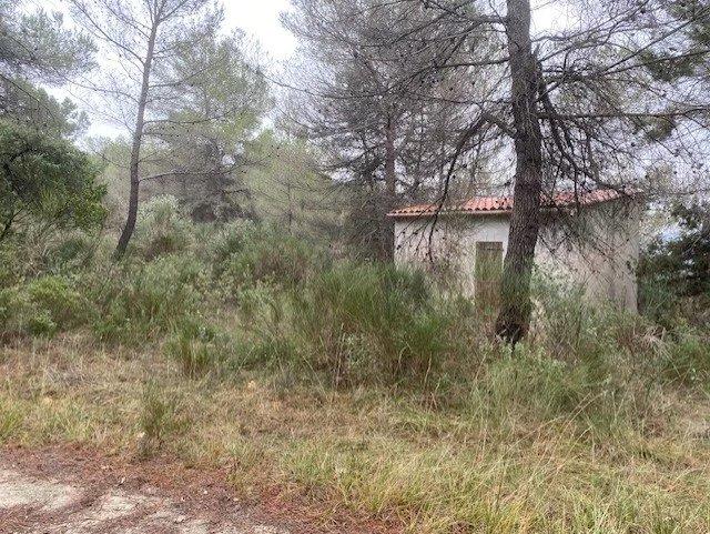 Terrain inconstructible - 11 915 m²