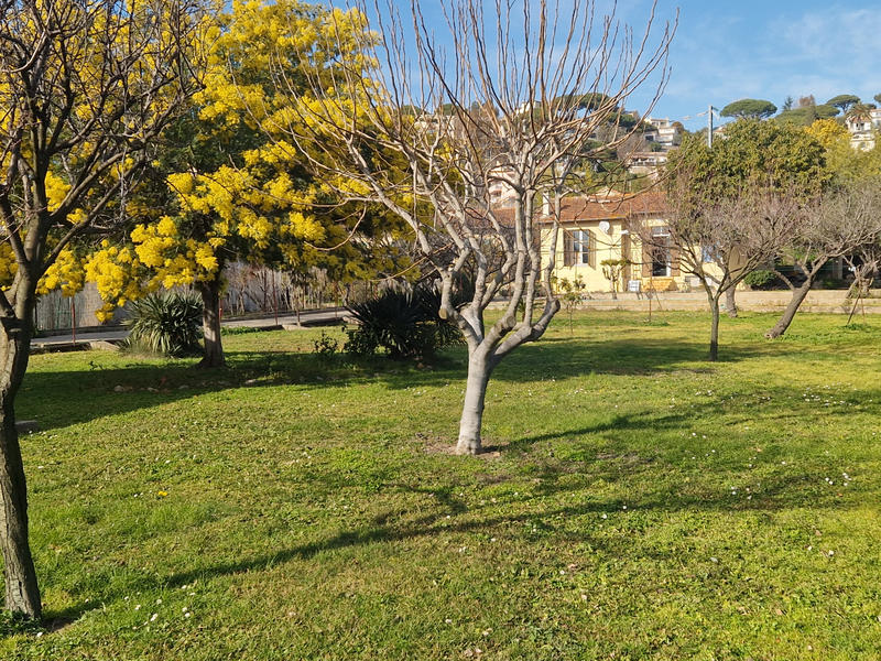 Maison - 65 m² - 3 pièces