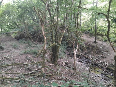 Terrain - 225 742 m²