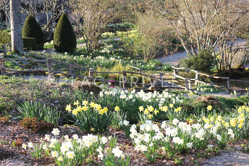 Maison - 300 m² - 11 pièces