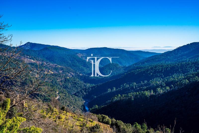 Propriété - 296 m² - 14 pièces