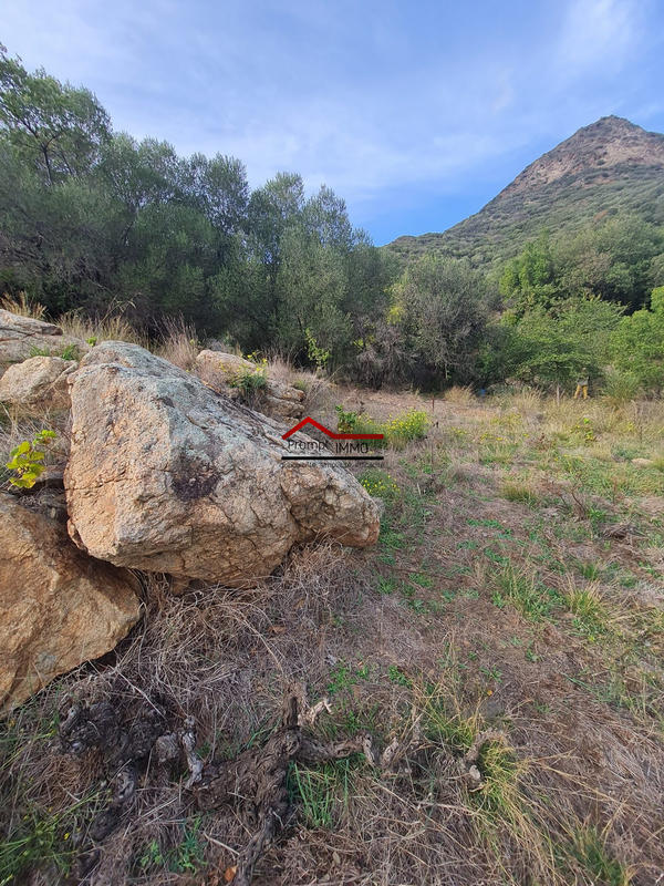 Terrain agricole - 10 225 m²