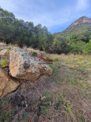 Terrain agricole - 10 225 m²