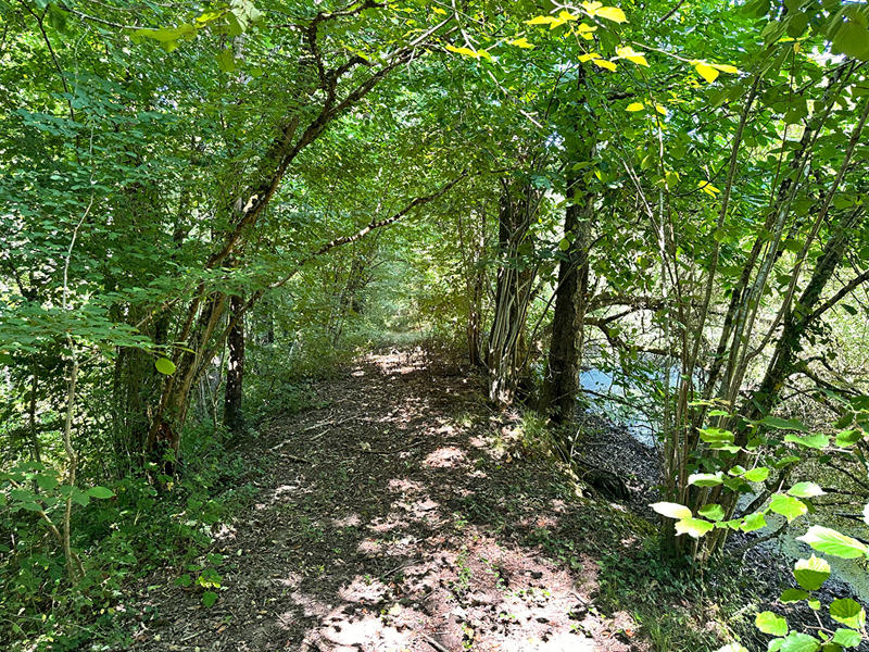 Maison - 220 m² - 6 pièces