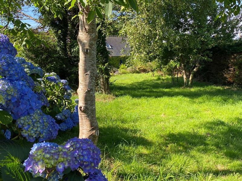 Maison - 125 m² - 3 pièces