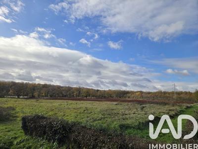 Terrain - 31 254 m²