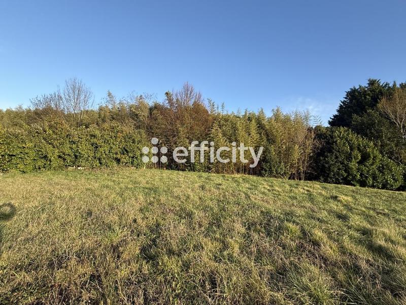 Terrain - 717 m²