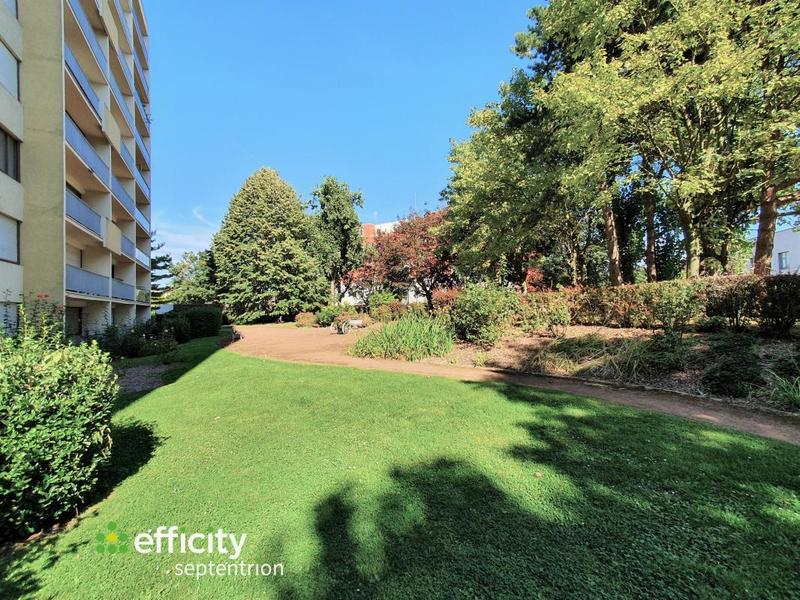 Appartement - 50 m² - 2 pièces