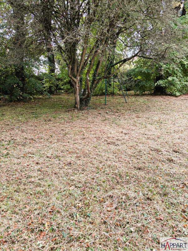 Maison - 260 m² - 9 pièces