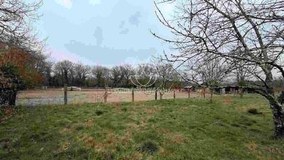 Corps de ferme - 600 m² - 15 pièces