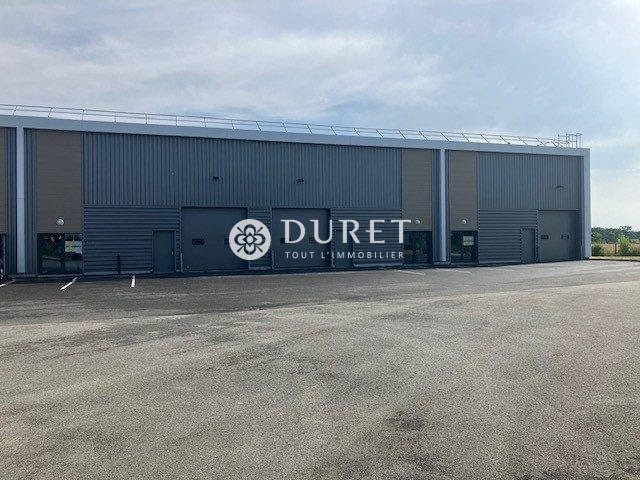 Local d'activités - 735 m²