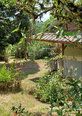 Maison - 270 m² - 7 pièces