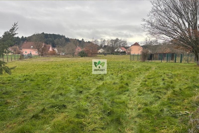 Maison - 300 m² - 11 pièces