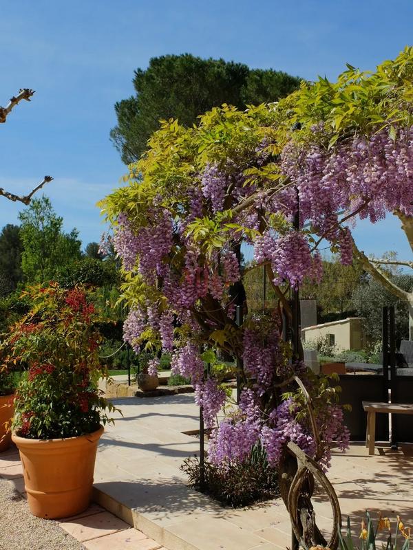 Maison - 193 m² - 6 pièces