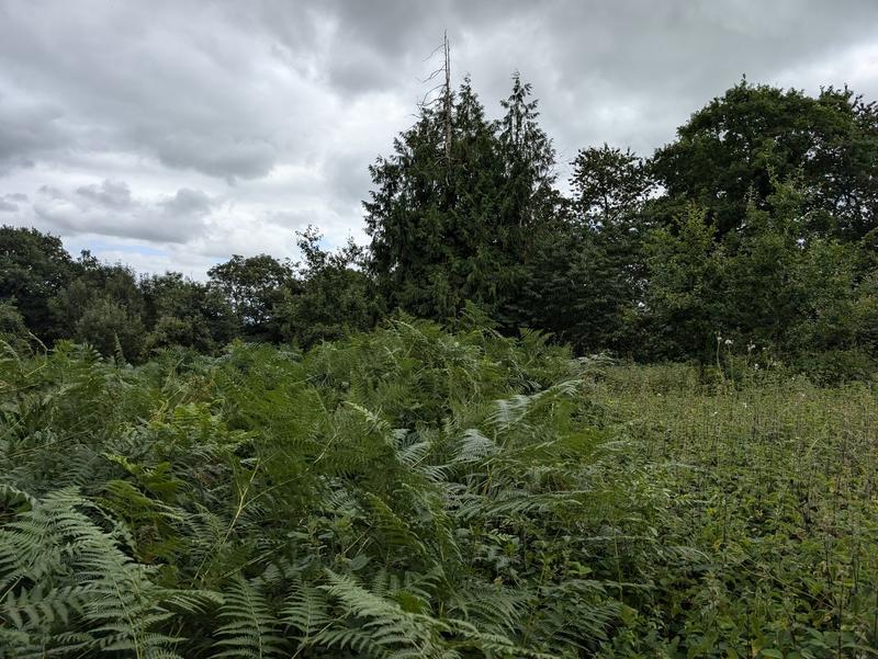 Maison ancienne - 6 pièces