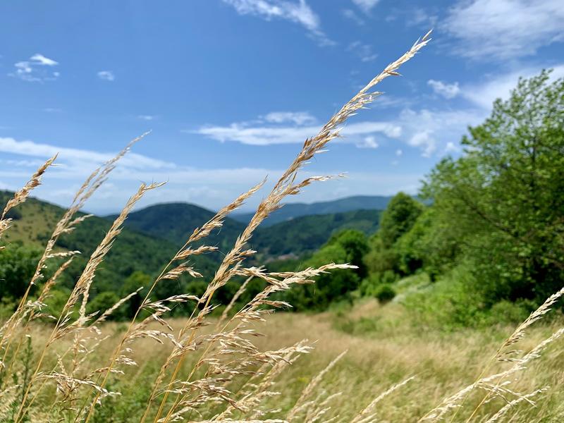 Randonnée accompagnée