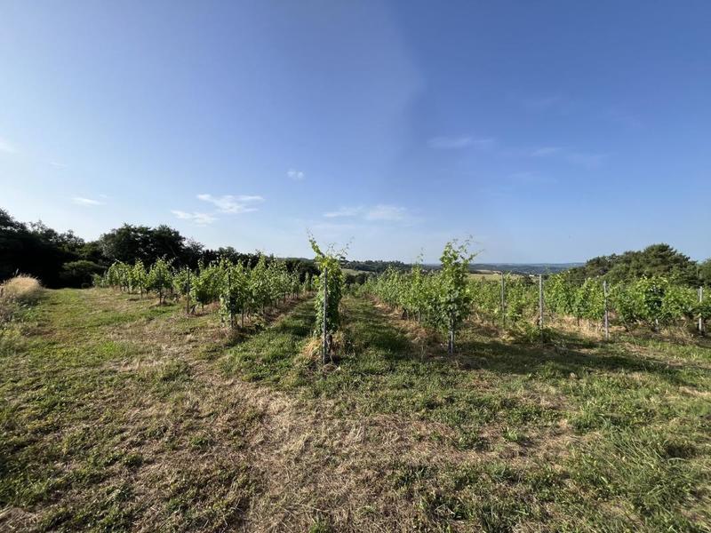 Terrain - 20 000 m²